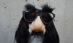 Fake it till you make it: how to get a VC job