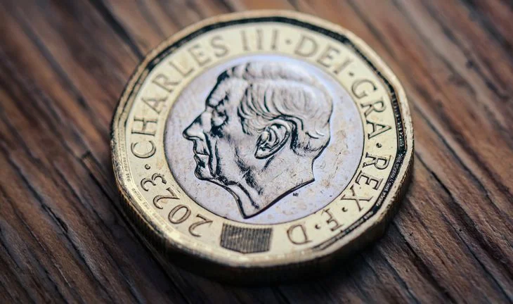 Pound coin