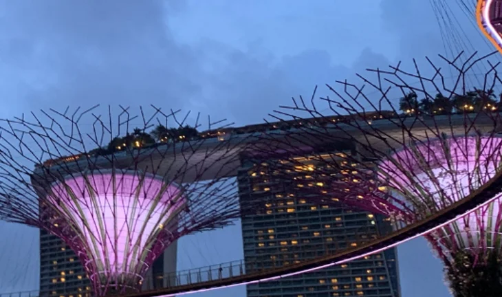 How Singapore bankers learned to love money