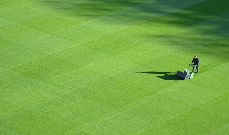 lawnmowing