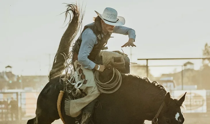 a bucking bronco 