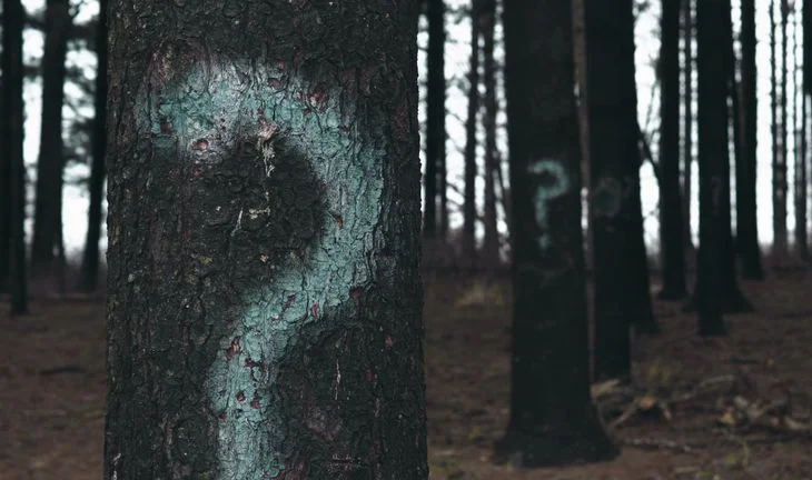question marks on trees 