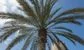 Crypto trading firm GSR made its first hire in the UAE at an interesting time