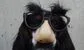 How to disguise desperation while looking for a new (banking) job
